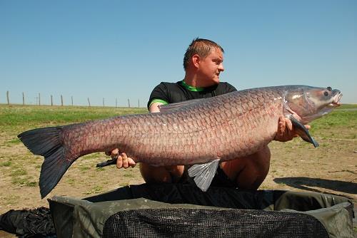 Desfasurare CN APCR Arrow Sarulesti 27 aprilie - 2 mai 2013 - 8.jpg